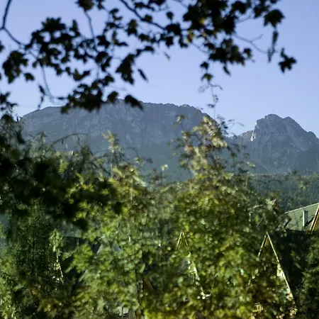 Szarotka Guest house